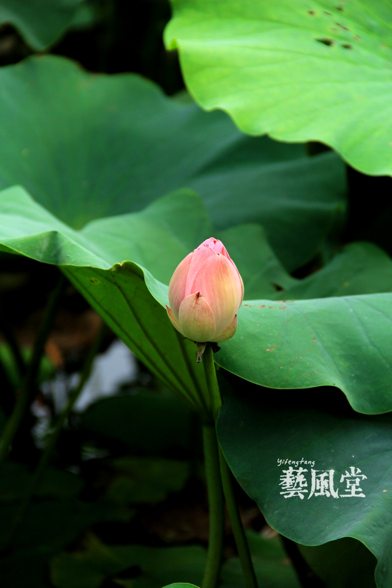 照片 044.jpg