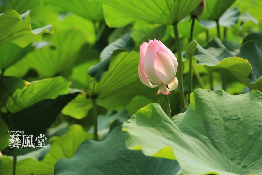 照片 047.jpg