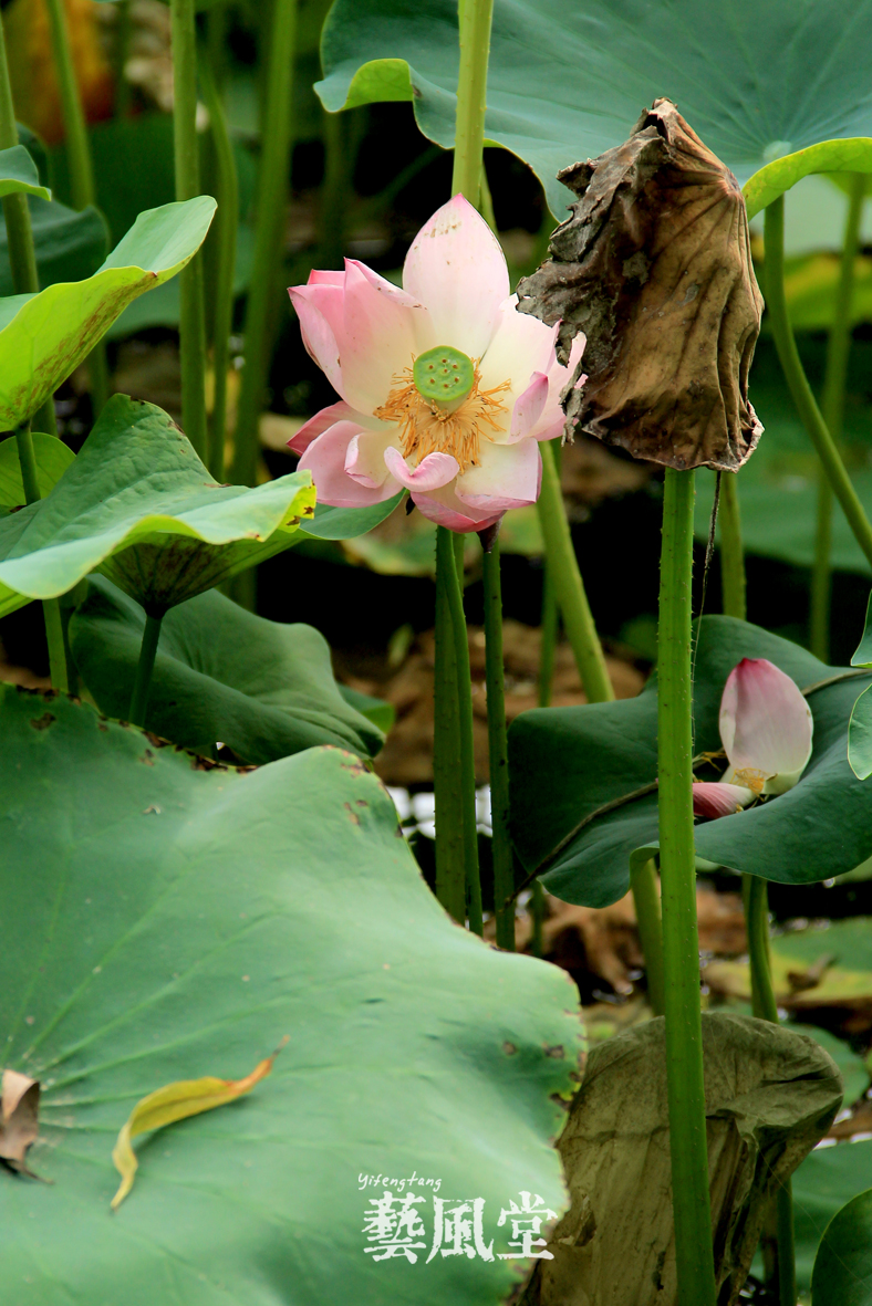 照片 054.jpg
