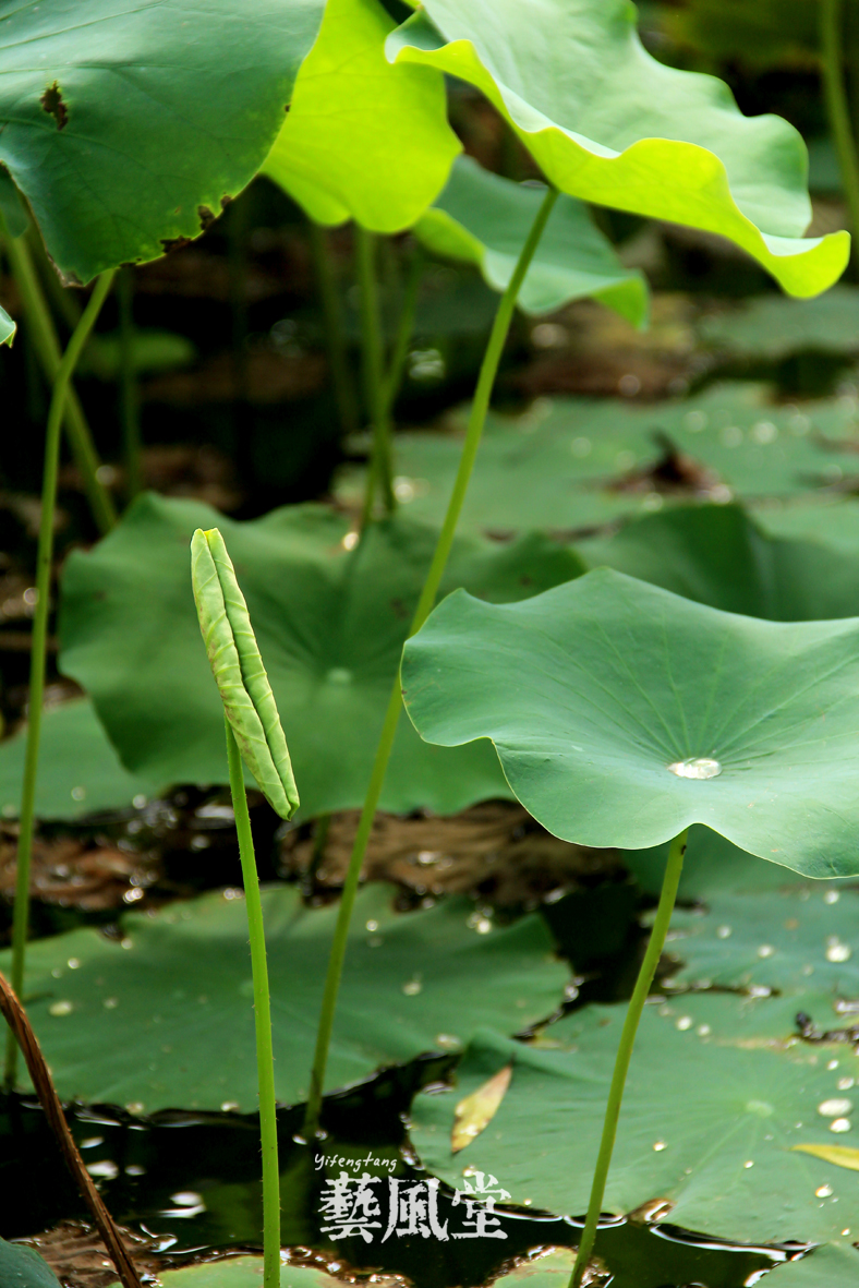 照片 060.jpg