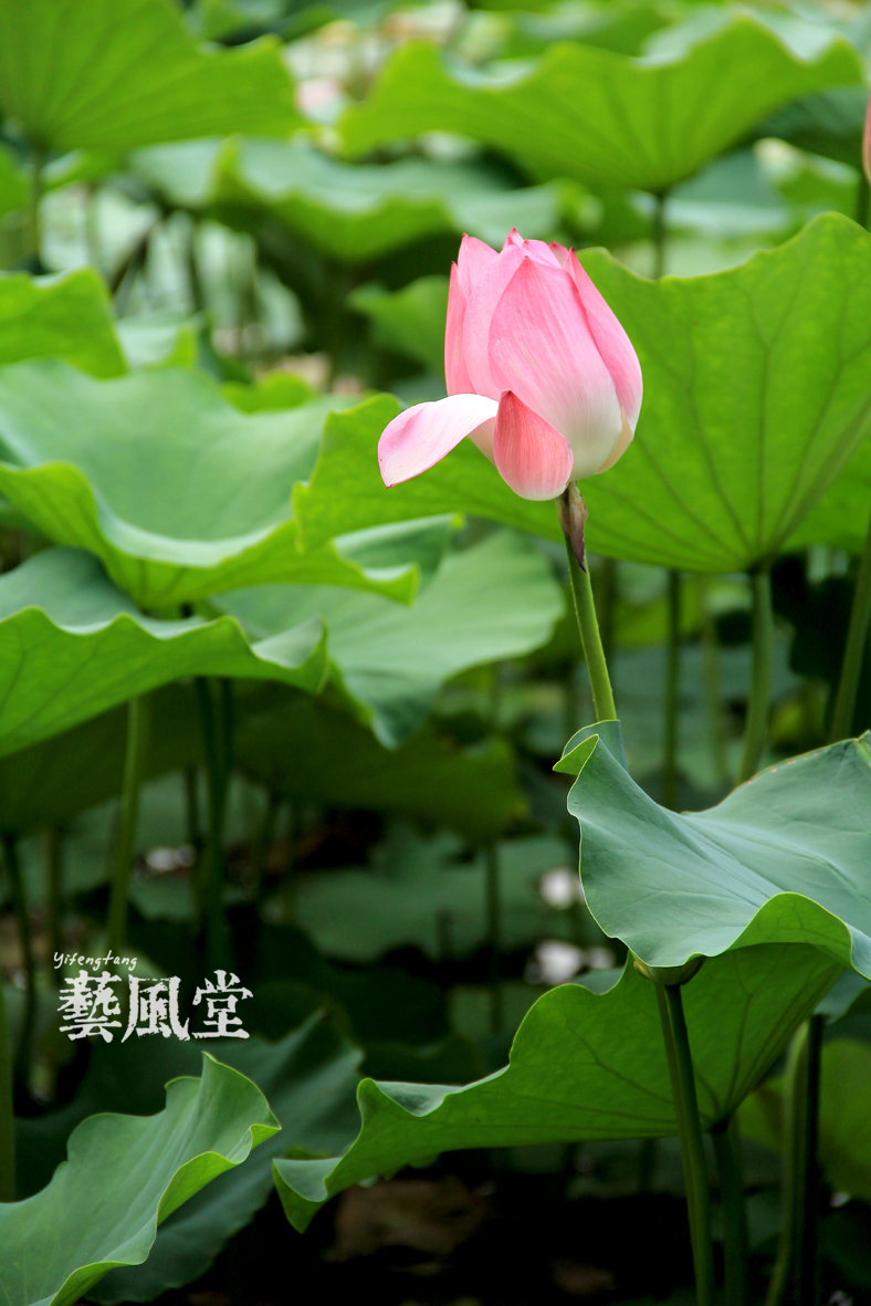 照片 085.jpg