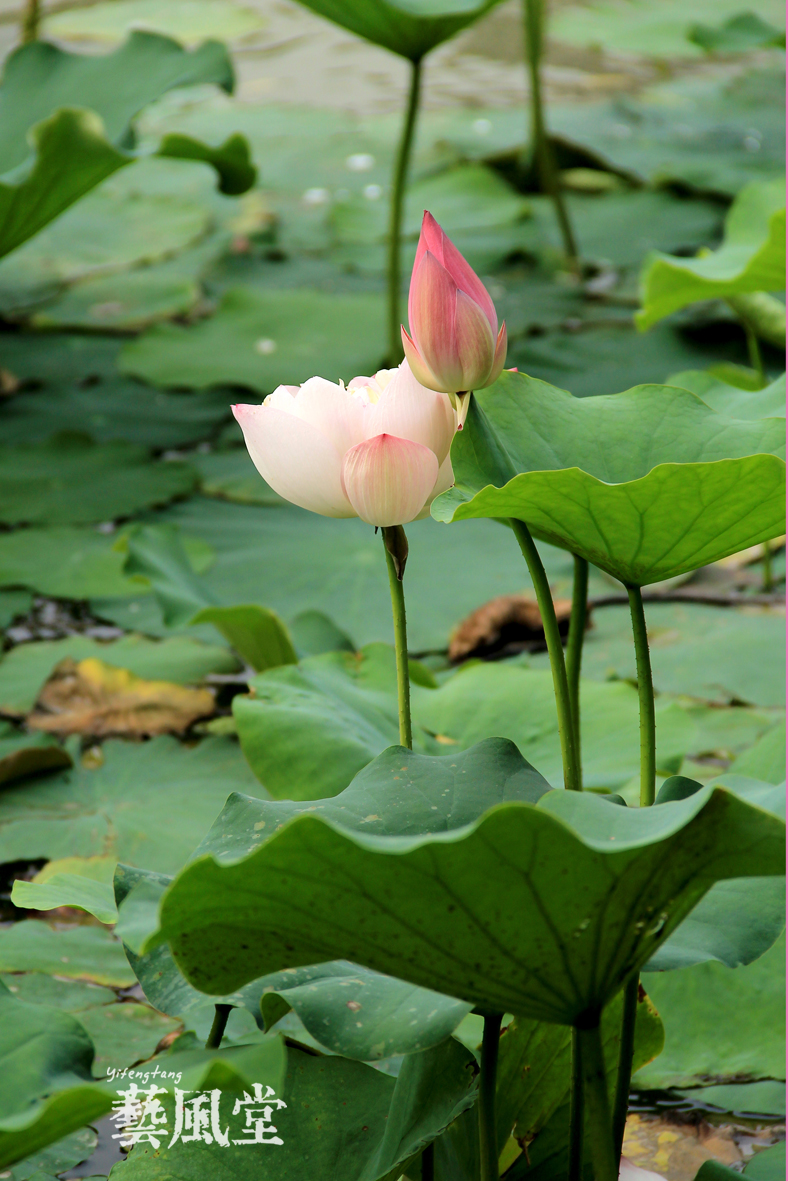 照片 086.jpg