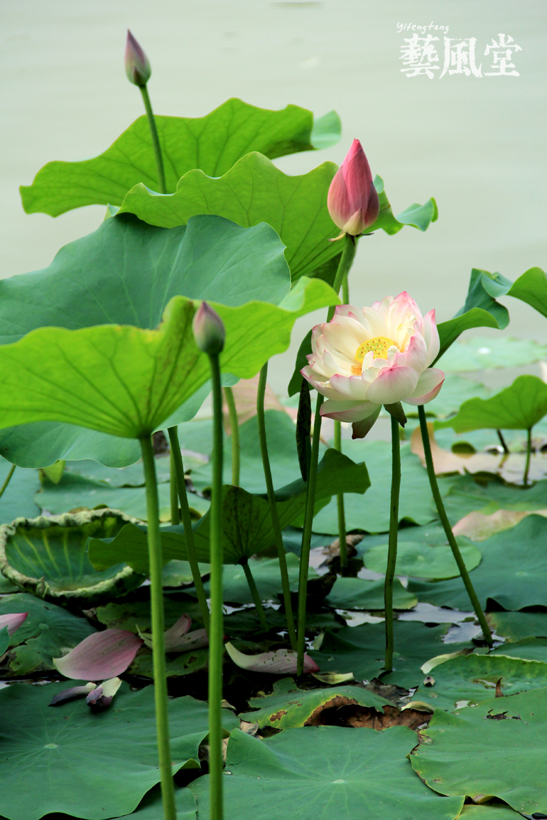 照片 093.jpg