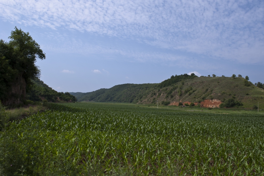 DSC_8359.JPG