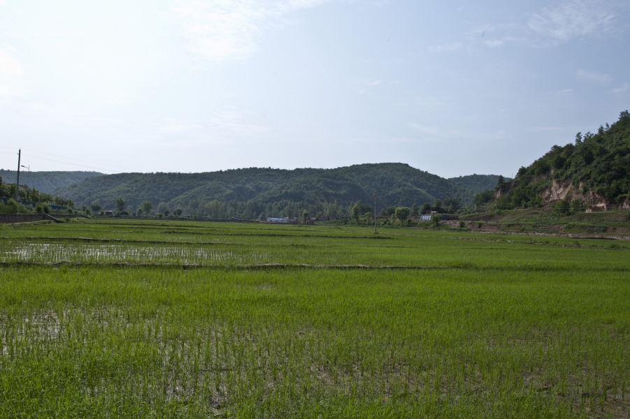 DSC_8341.JPG