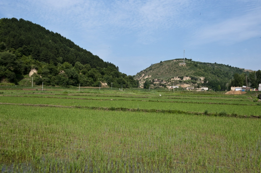 DSC_8342_2.JPG