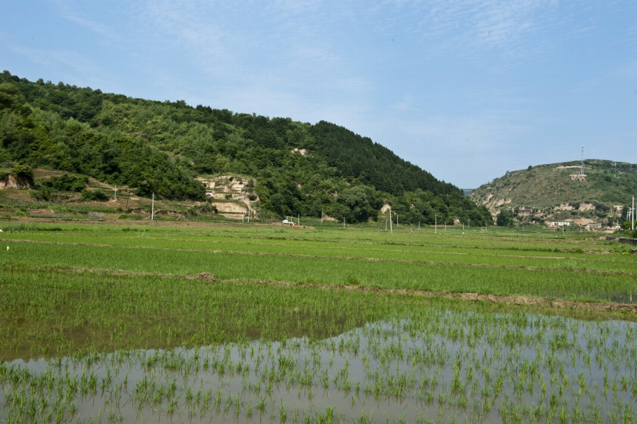 DSC_8343_2.JPG