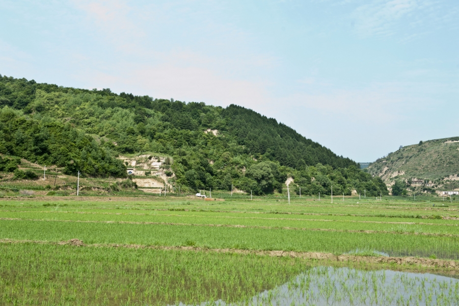 DSC_8347.JPG