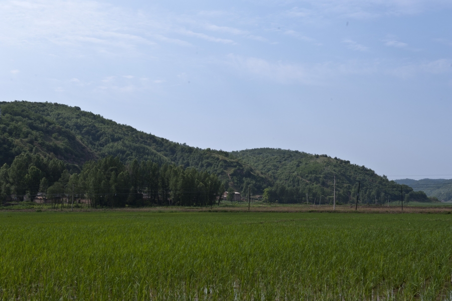 DSC_8353.JPG