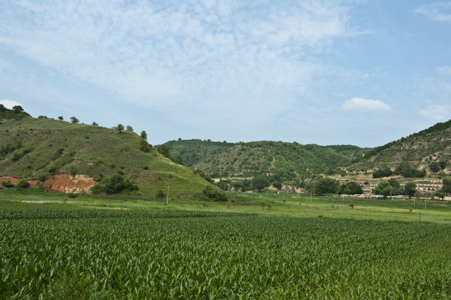DSC_8357.JPG