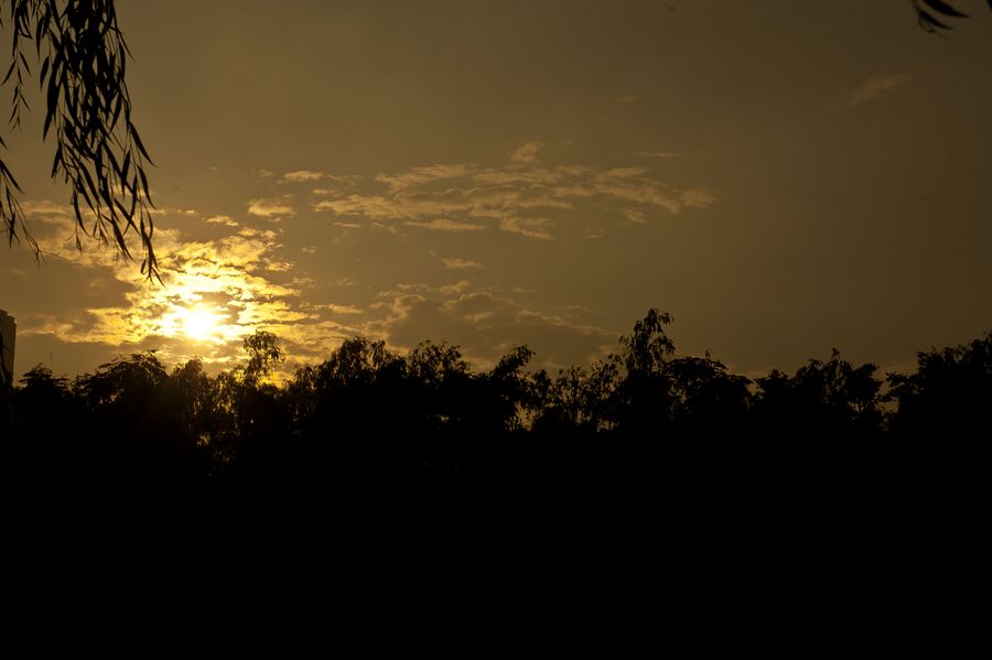 DSC_0054.jpg