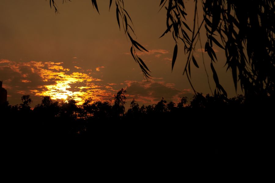 DSC_0066.jpg