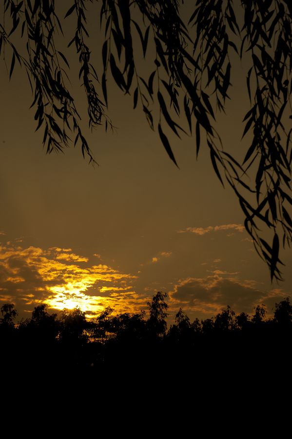 DSC_0076.jpg
