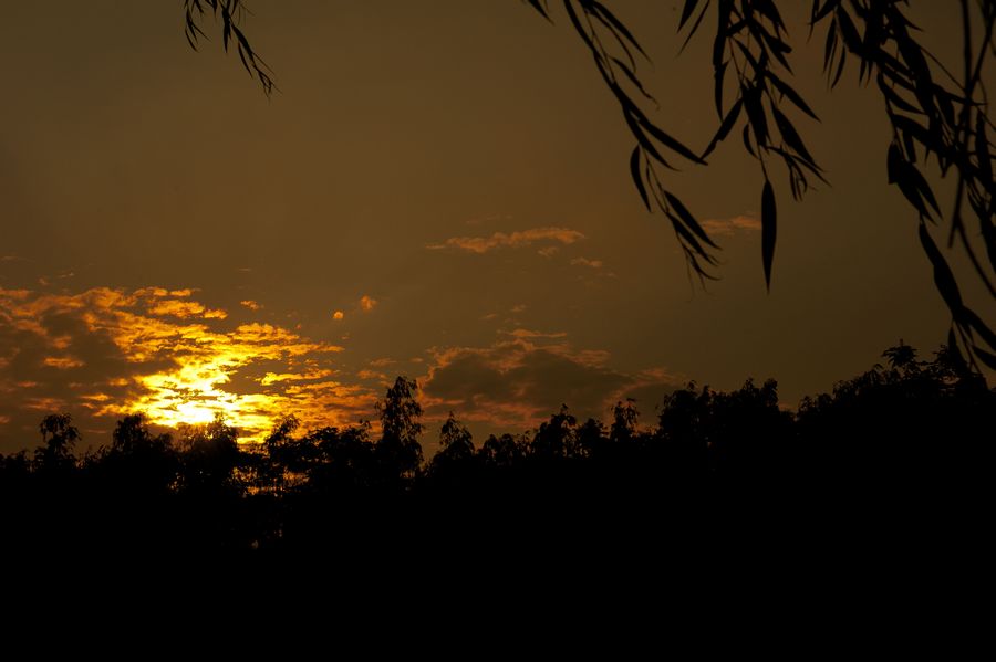 DSC_0069.jpg