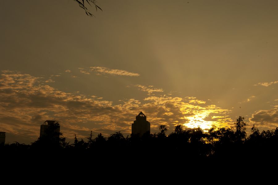 DSC_0080.jpg