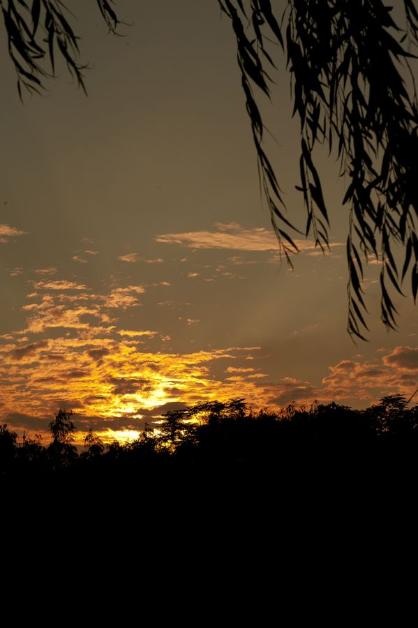 DSC_0113.jpg