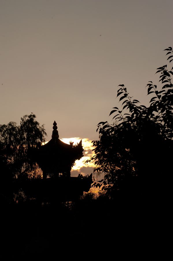 DSC_9979.jpg