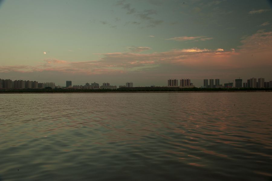 DSC_0183.jpg