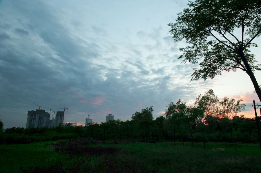 DSC_0258.jpg