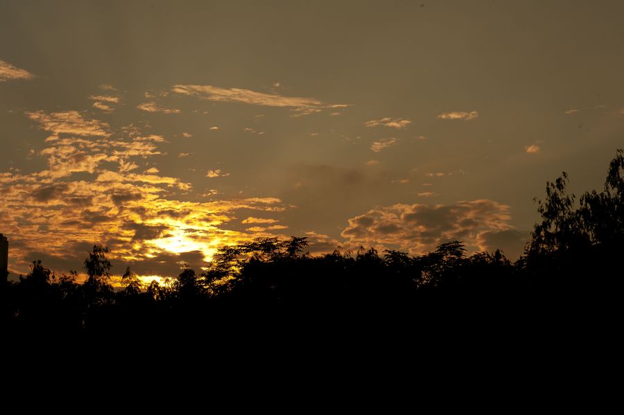 DSC_0105.jpg