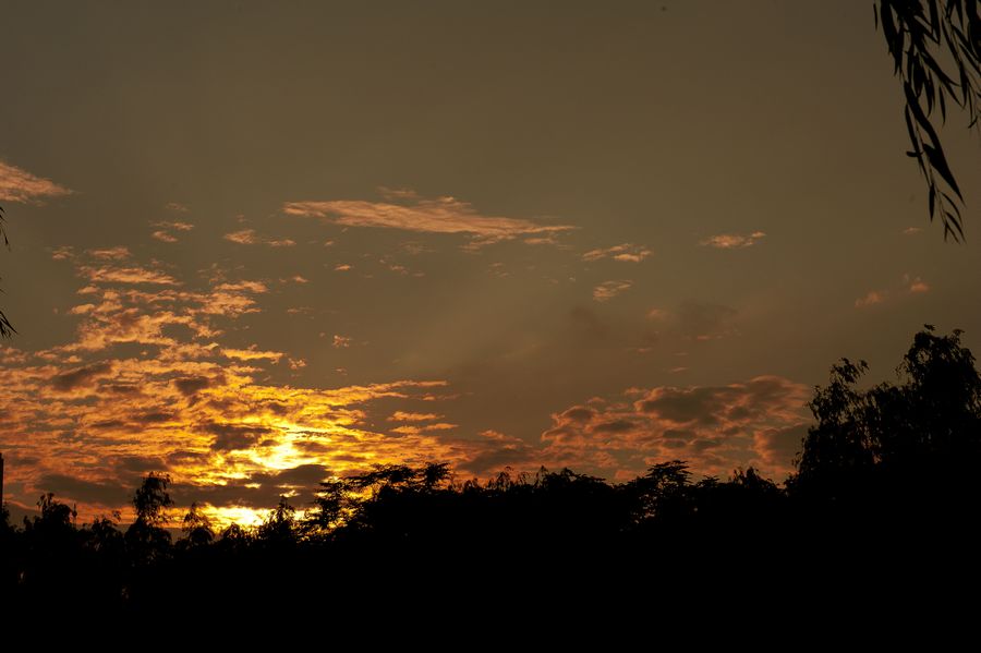 DSC_0111.jpg