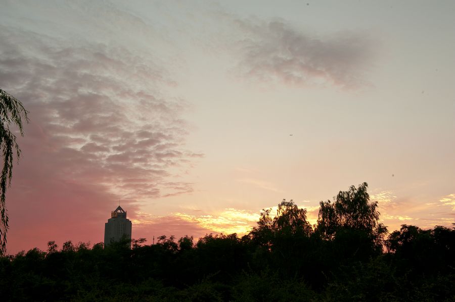 DSC_0200.jpg