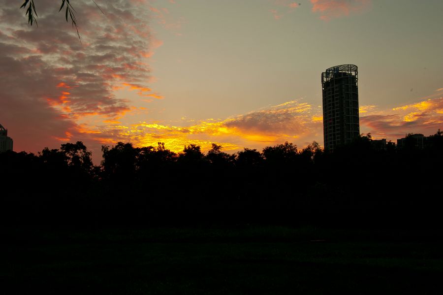 DSC_0224.jpg