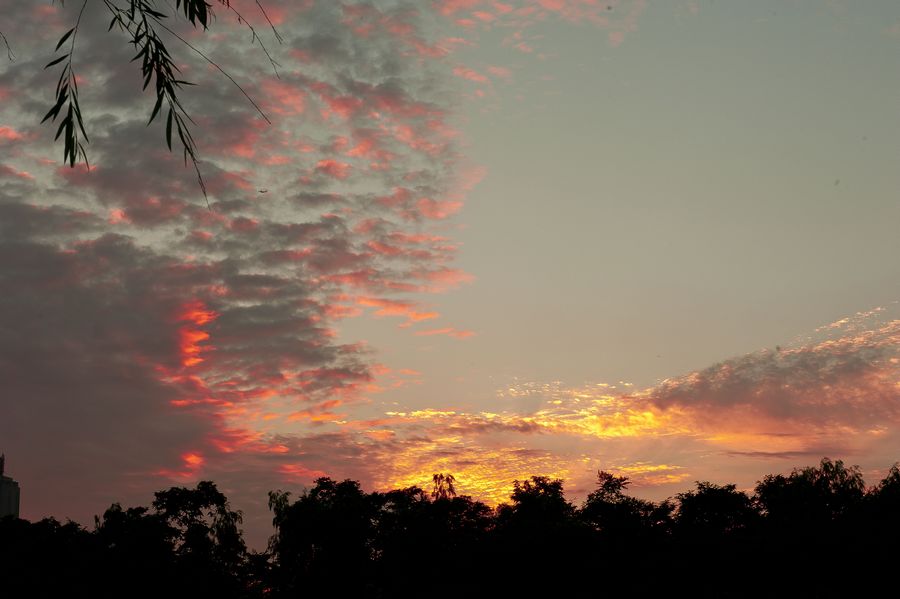 DSC_0234.jpg