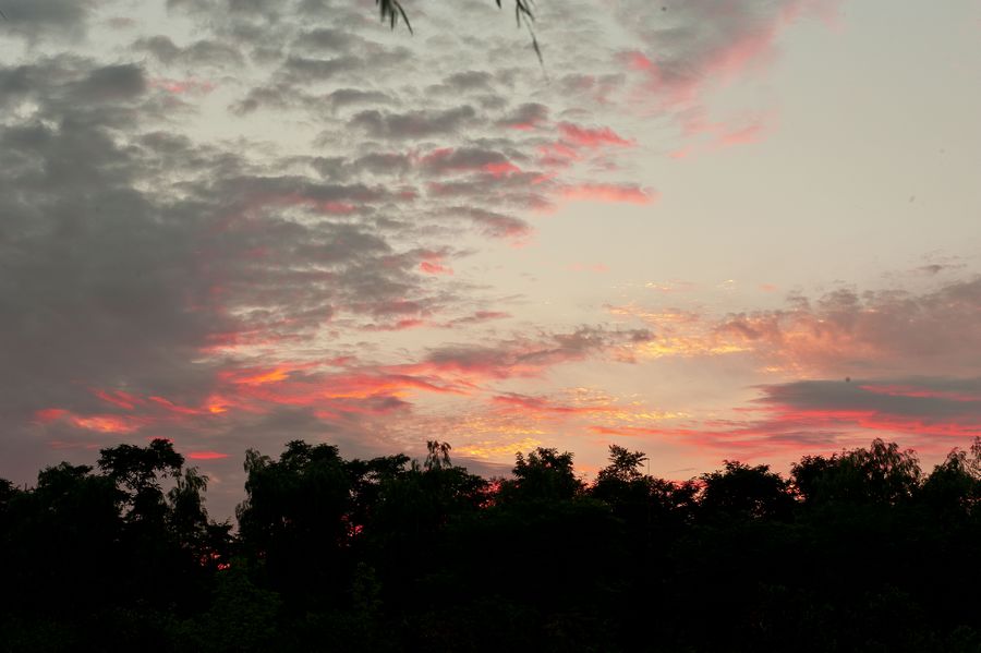 DSC_0255.jpg