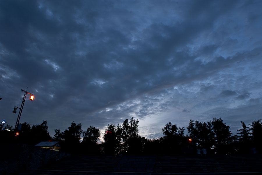 DSC_0290.jpg