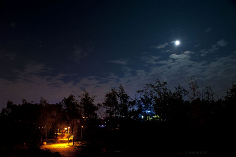 DSC_0338.jpg
