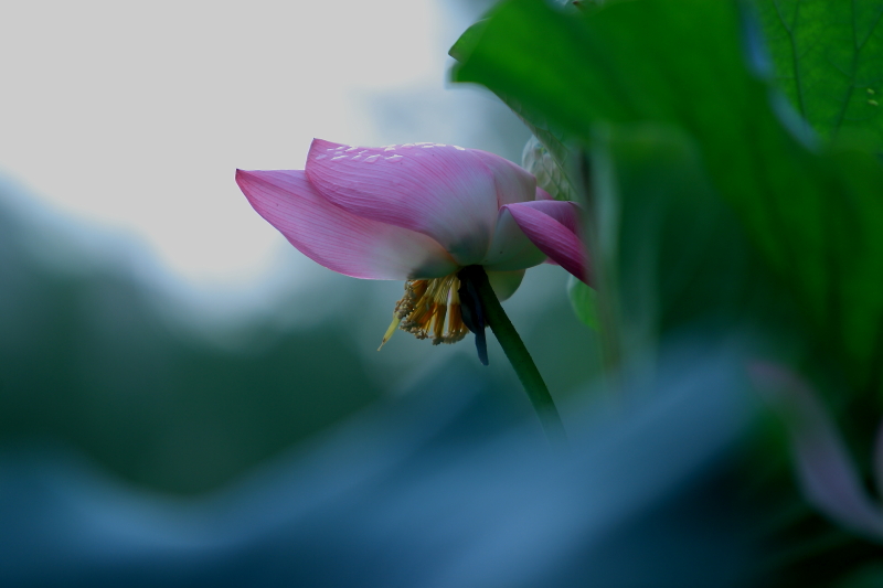 IMG_797601.JPG