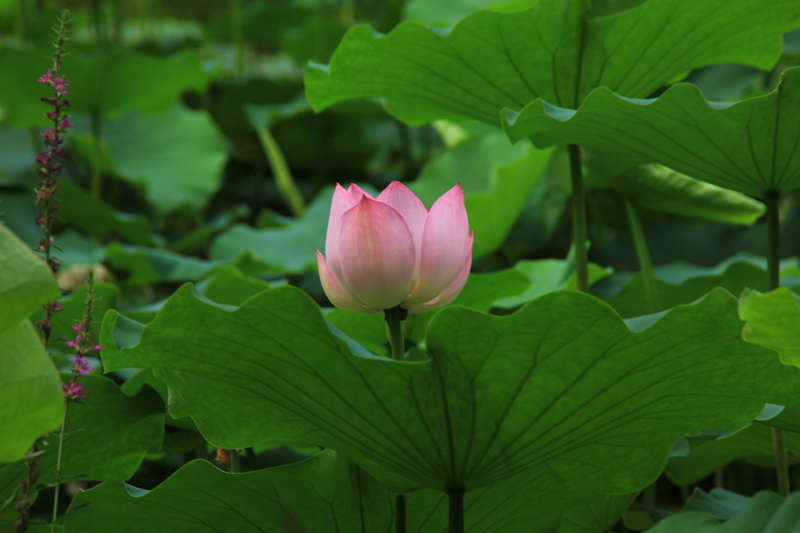 照片 105.jpg