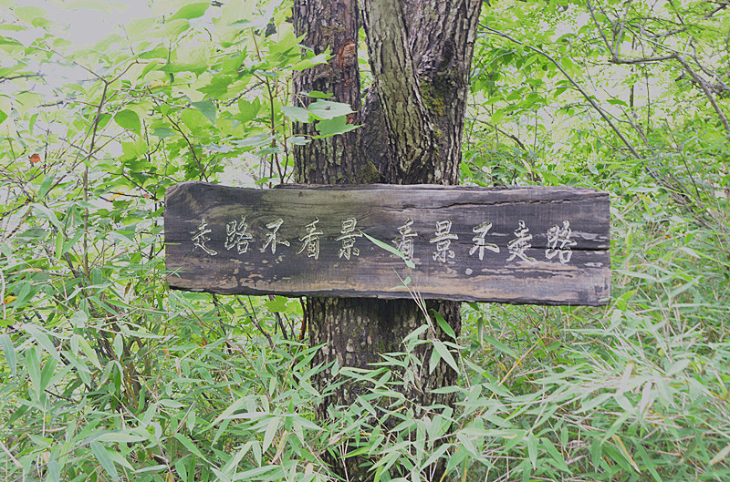 照片 055_副本.jpg