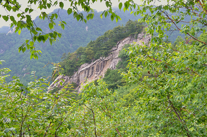 照片 051_副本.jpg