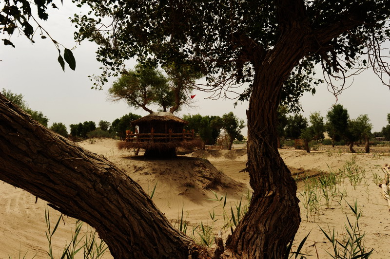 5.JPG