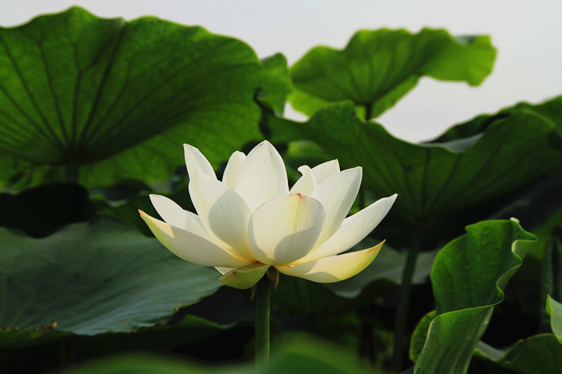 公园 038_副本.jpg