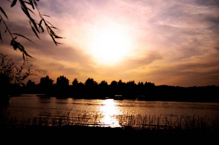DSC_0043.jpg