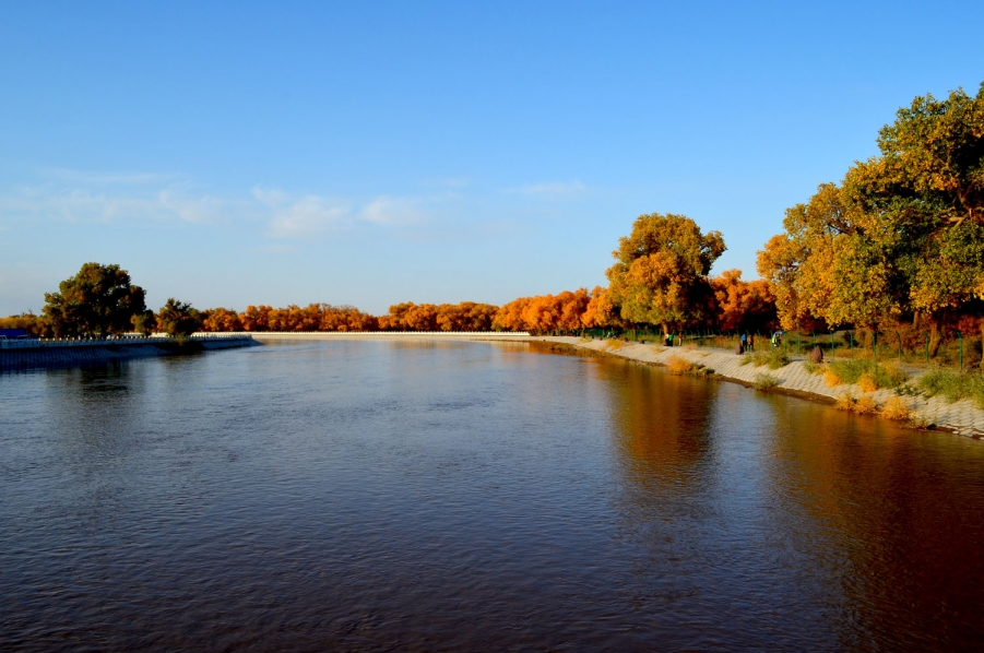 DSC_0258.jpg