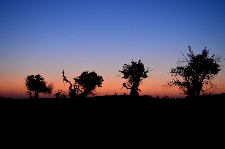 DSC_0761.jpg