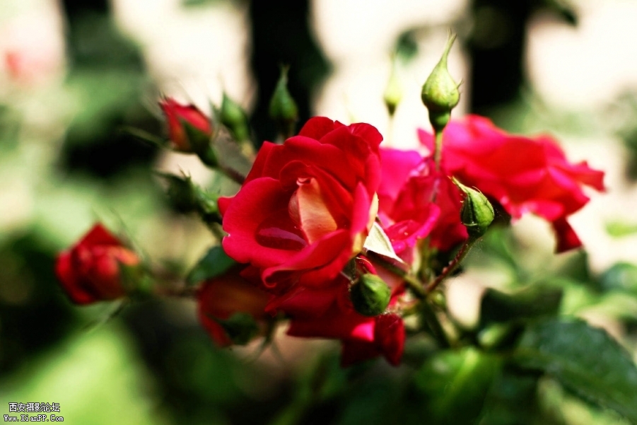 134601itqa330at01mspa3.jpg
