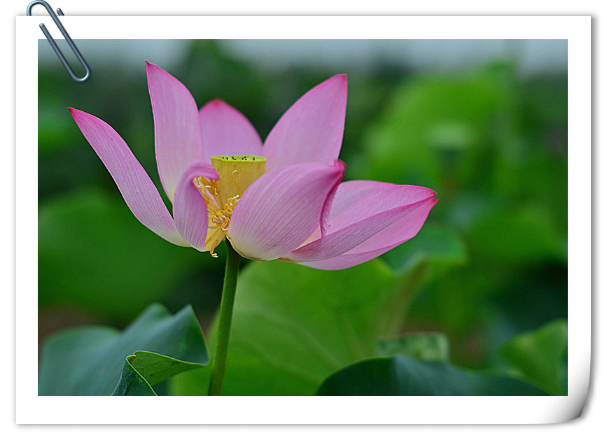 DSC_5040_副本_副本.jpg