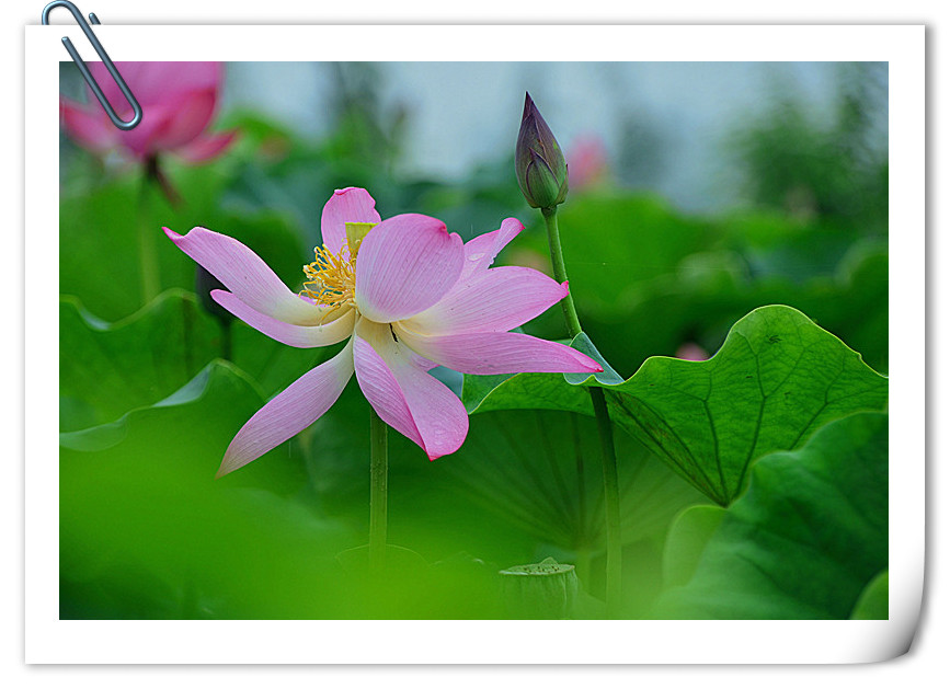 DSC_5047_副本_副本.jpg