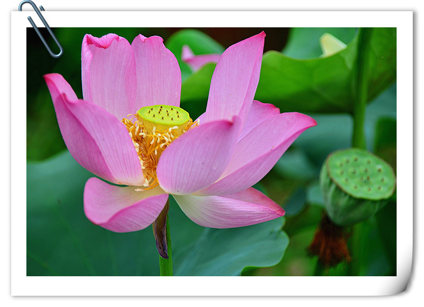 DSC_5050_副本_副本.jpg