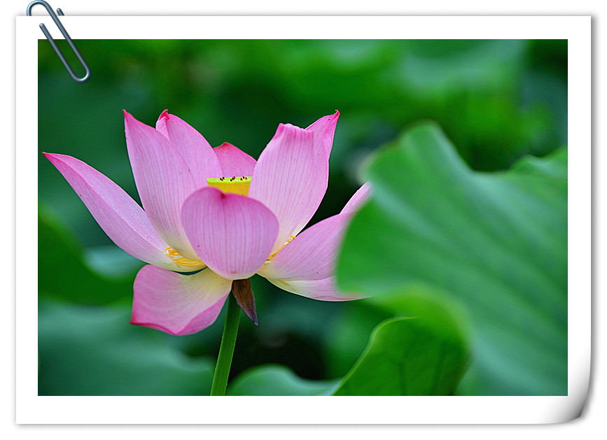 DSC_5051_副本_副本.jpg
