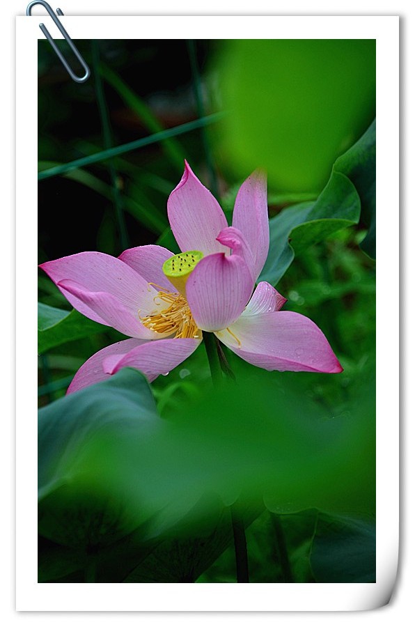 DSC_5061_副本.jpg