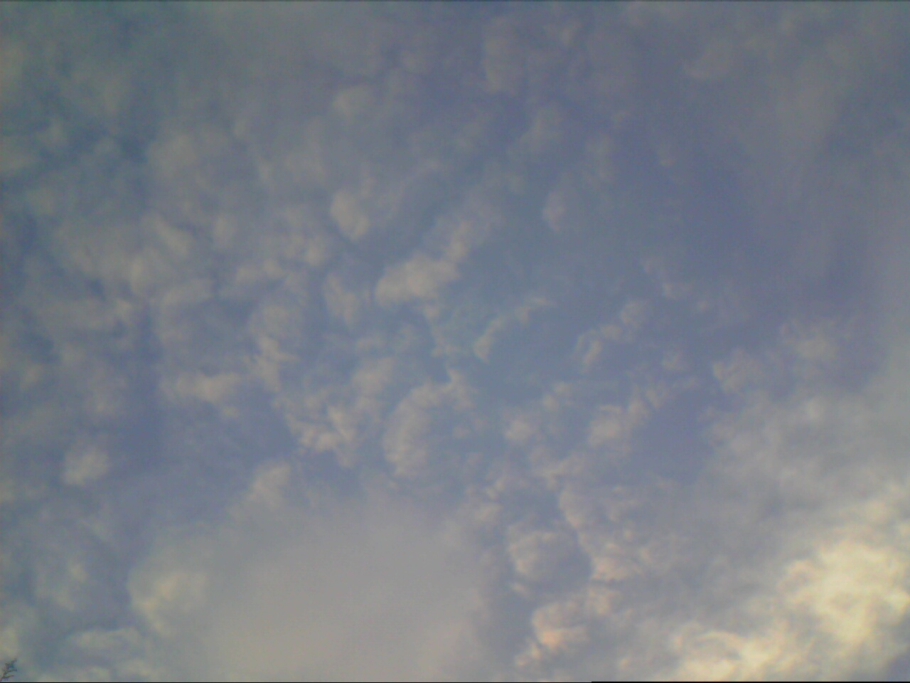 Image_82.jpg