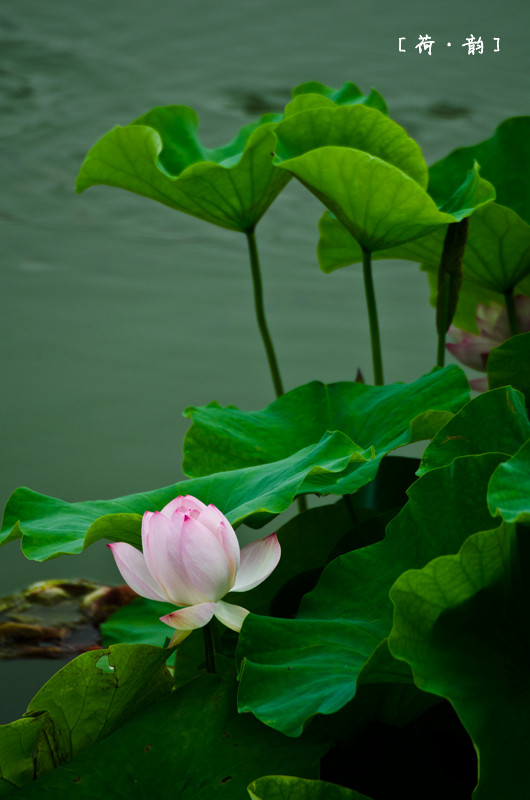DSC_0153.jpg