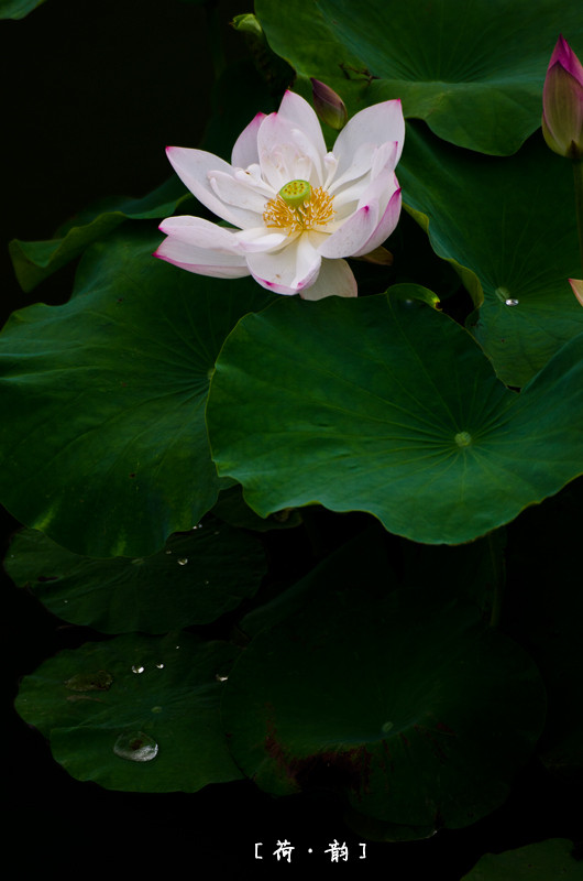 DSC_0164.jpg
