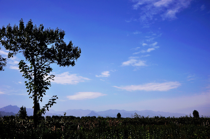 DSC_4357.JPG
